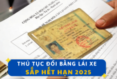 Hướng Dẫn Kiểm Tra Điểm Bằng Lái Xe Qua Ứng Dụng VNeID