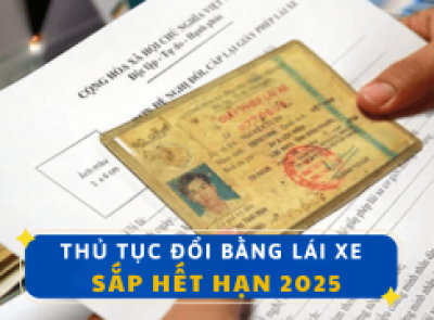 Hướng Dẫn Kiểm Tra Điểm Bằng Lái Xe Qua Ứng Dụng VNeID