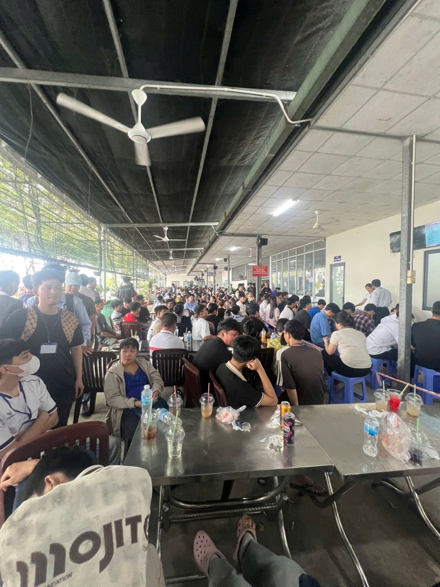 ĐÀO TẠO LÁI XE TPHCM GIÁ RẺ